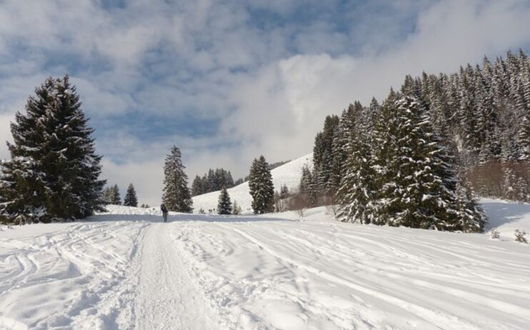 Escursioni sulla neve 2023