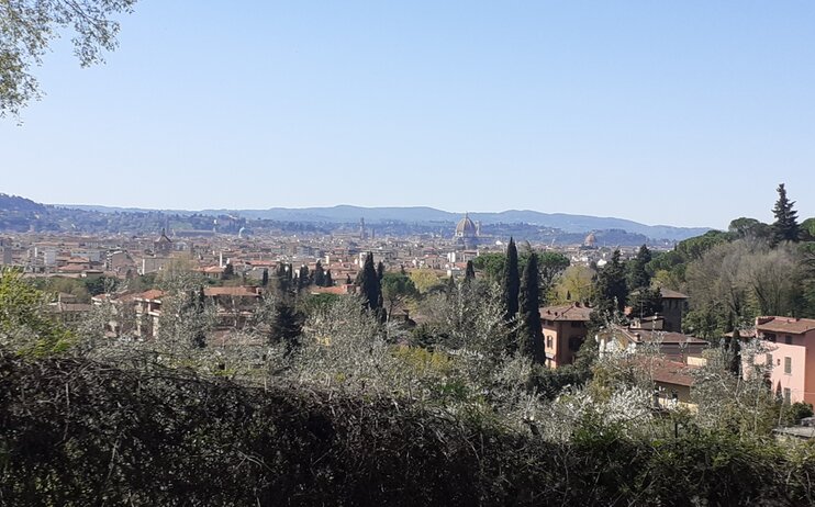 Trekking  in collina intorno a Firenze e ... ristorante